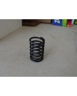 TY290X.01.124  ( Outer valve spring )
