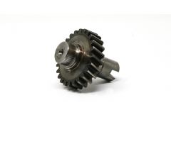 TY290X.02.121-1A (Hydraulic pressure pump gear)