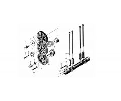 Camshaft & Timing - TY290 Engine