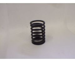 Y480G-03007  ( Valve spring / Outer )